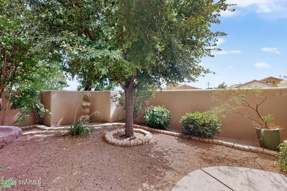 1891 Santanova Arc, Las Cruces, NM 88005 photo 4