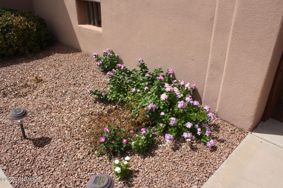 4700 Calle De Nubes, Las Cruces, NM 88012 photo 3