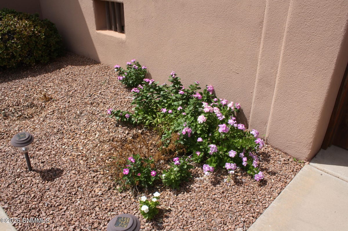 4700 Calle De Nubes, Las Cruces, NM 88012 photo 3