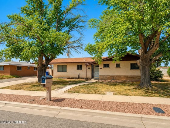 940 Calle Del Sol, Las Cruces, NM 88005 photo 3