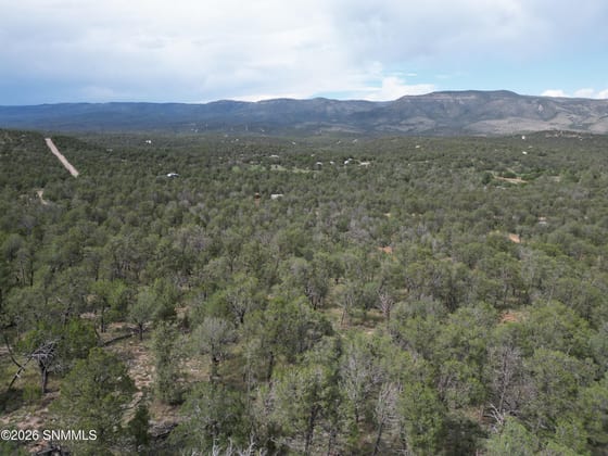 TBD Mountainaire Drive, Timberon, NM 88350 photo 3