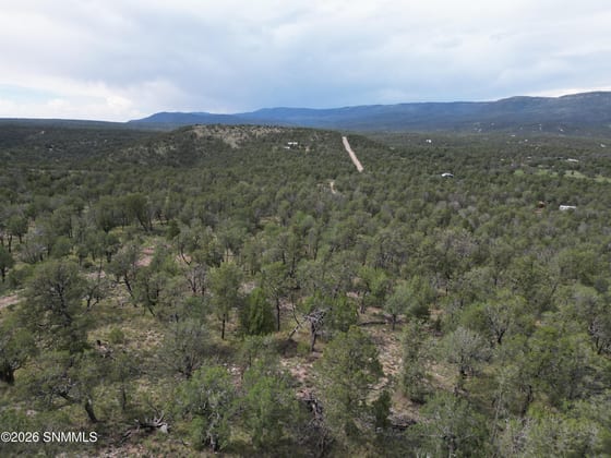 TBD Mountainaire Drive, Timberon, NM 88350 photo 4