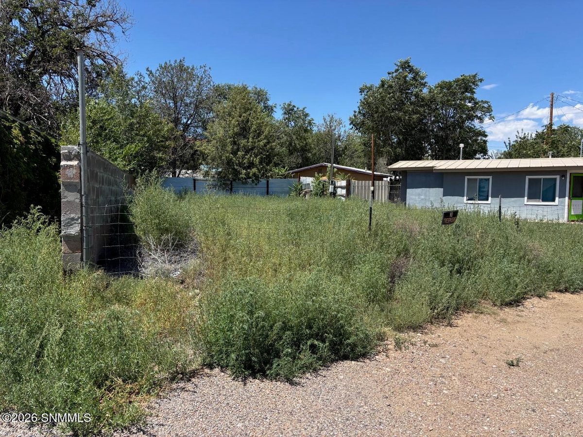 1005 N Grant Street, Silver City, NM 88061, foto 11
