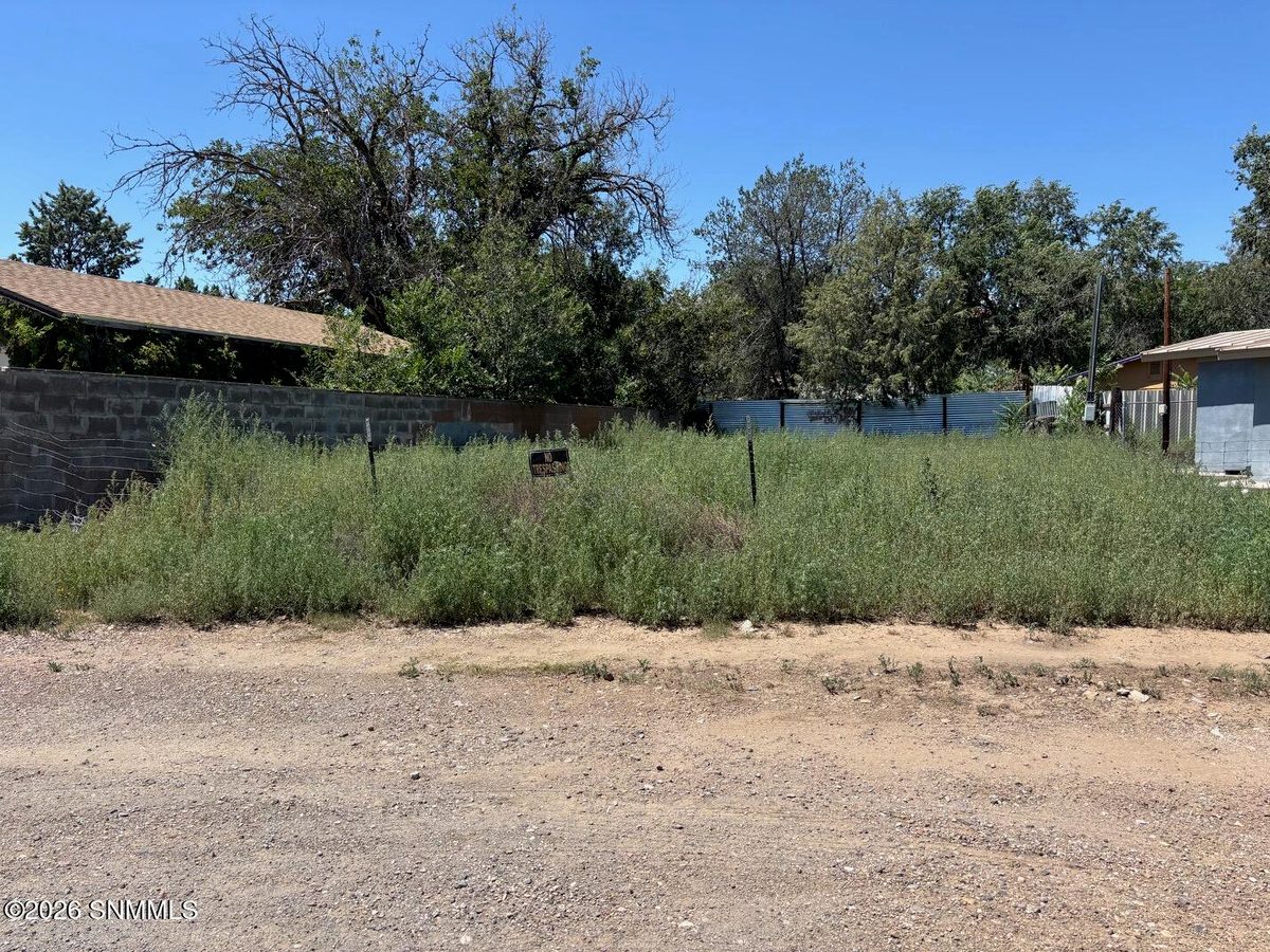 1005 N Grant Street, Silver City, NM 88061, foto 12