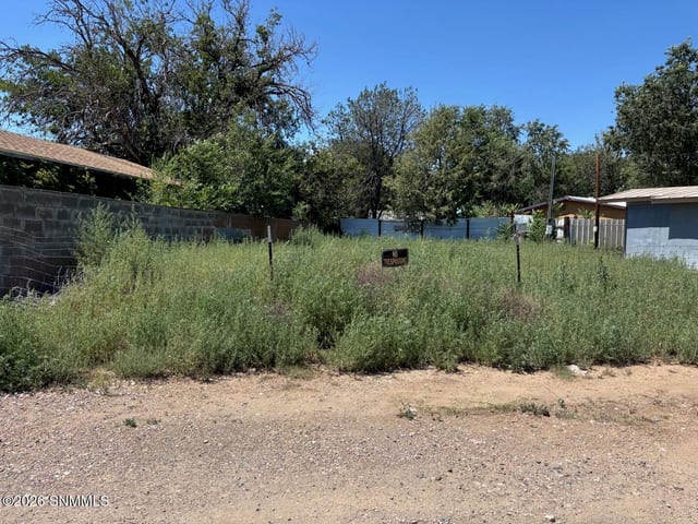 1005 N Grant Street, Silver City, NM 88061, foto 2