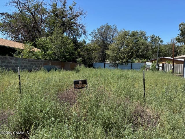 1005 N Grant Street, Silver City, NM 88061, foto 3