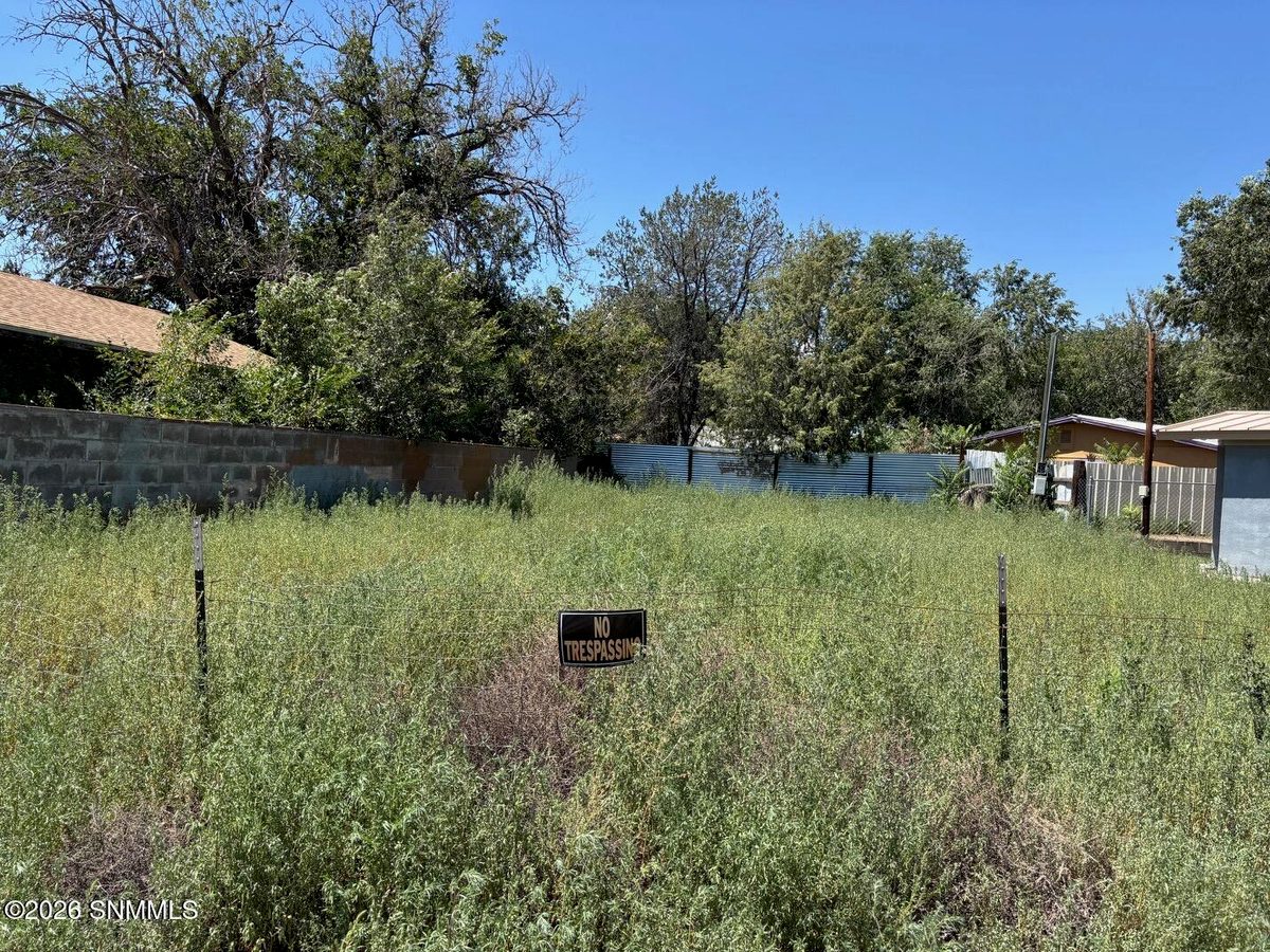 1005 N Grant Street, Silver City, NM 88061, foto 4