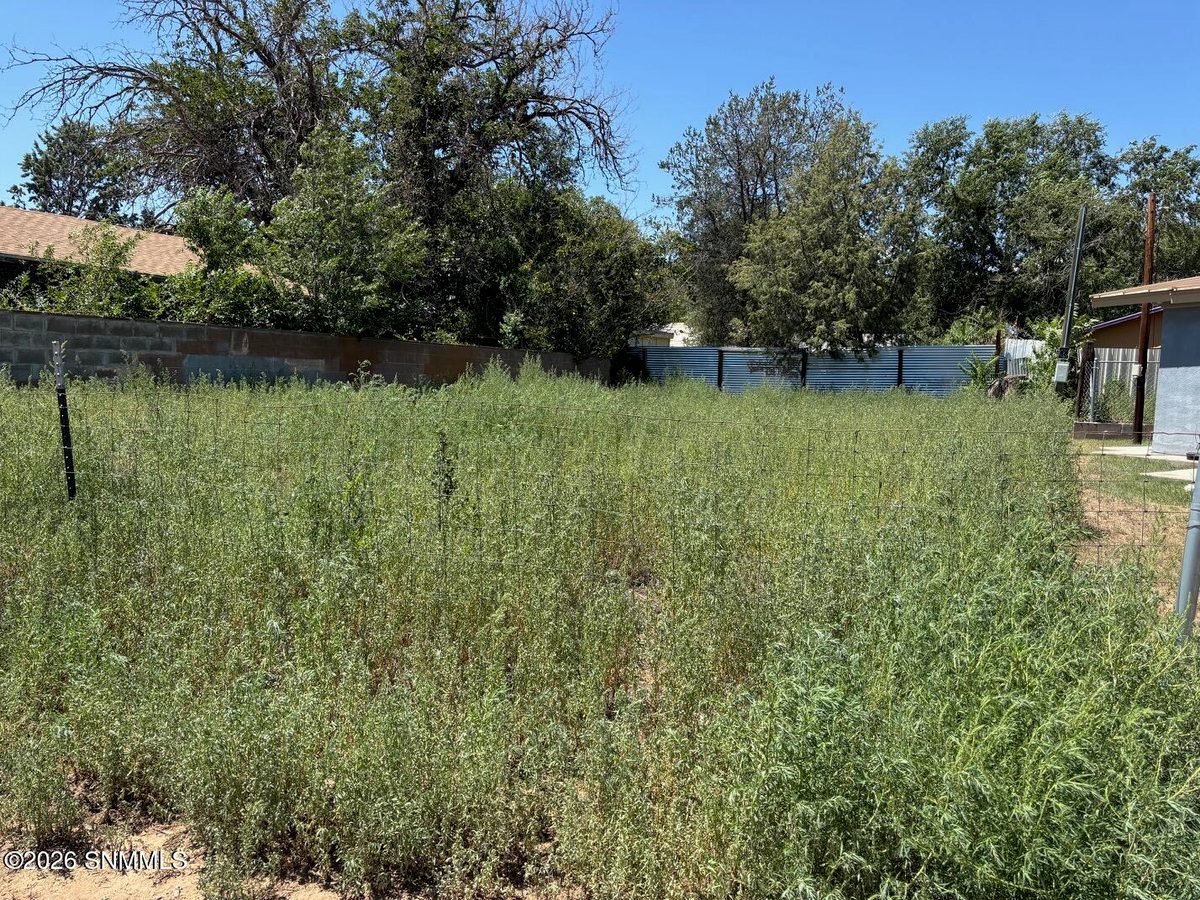 1005 N Grant Street, Silver City, NM 88061, foto 6