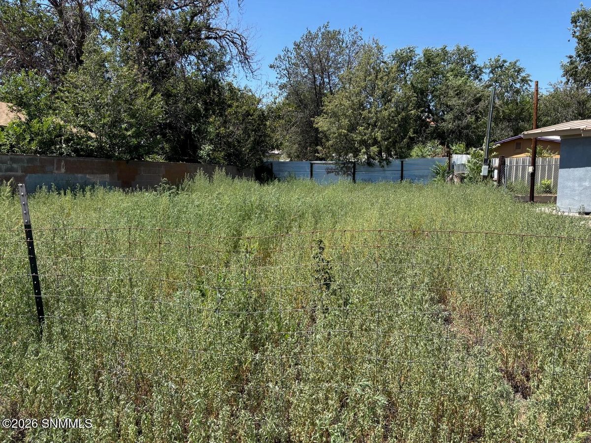 1005 N Grant Street, Silver City, NM 88061, foto 7