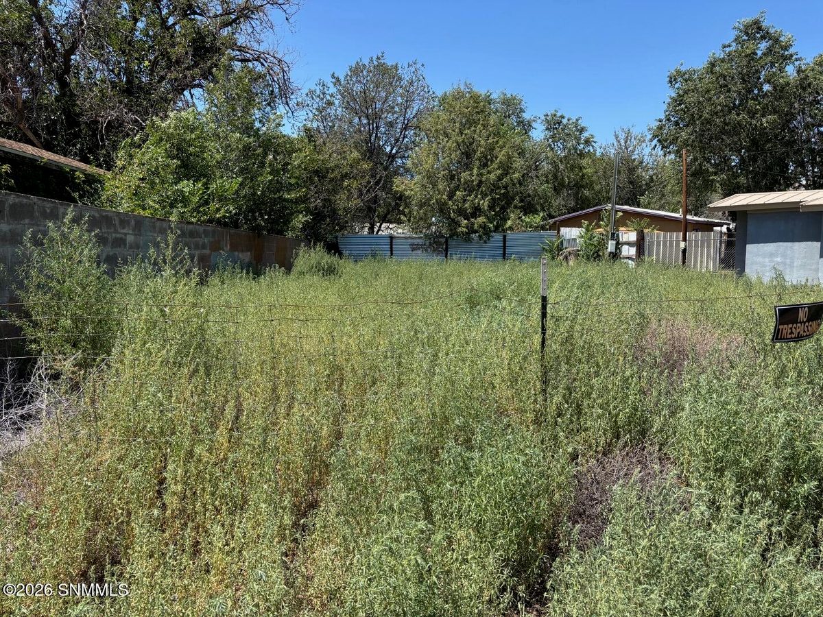 1005 N Grant Street, Silver City, NM 88061, foto 8