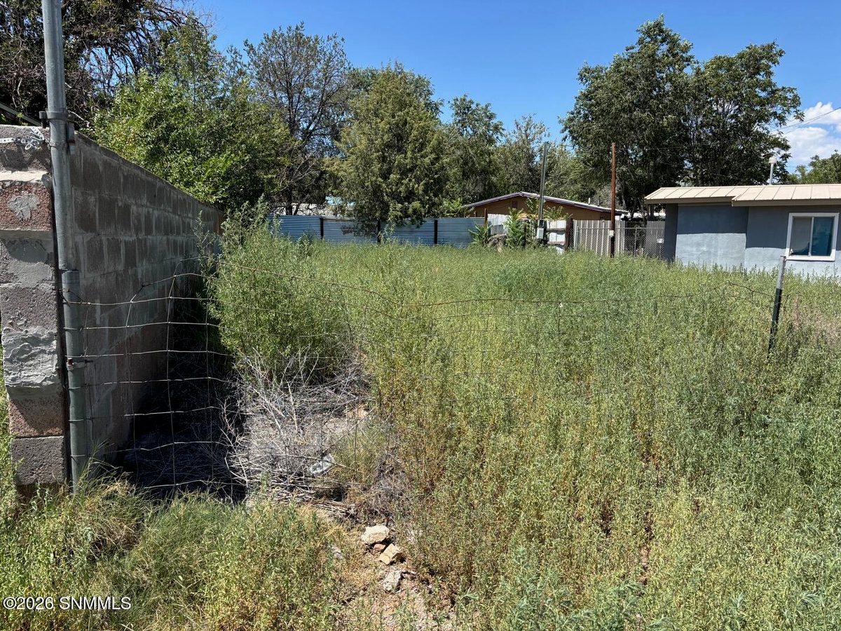 1005 N Grant Street, Silver City, NM 88061, foto 9