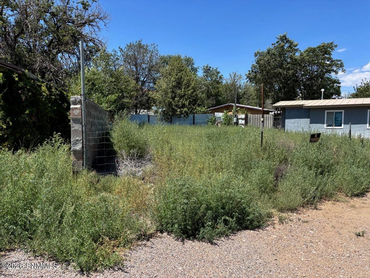 1005 N Grant Street, Silver City, NM 88061, foto 10