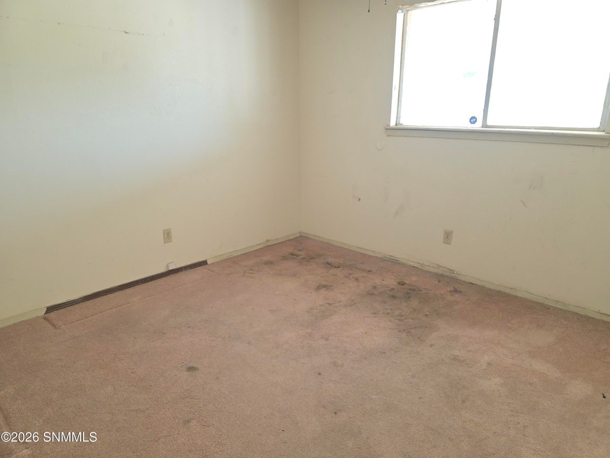 1105 N Mesilla Street, Las Cruces, NM 88005 photo 10