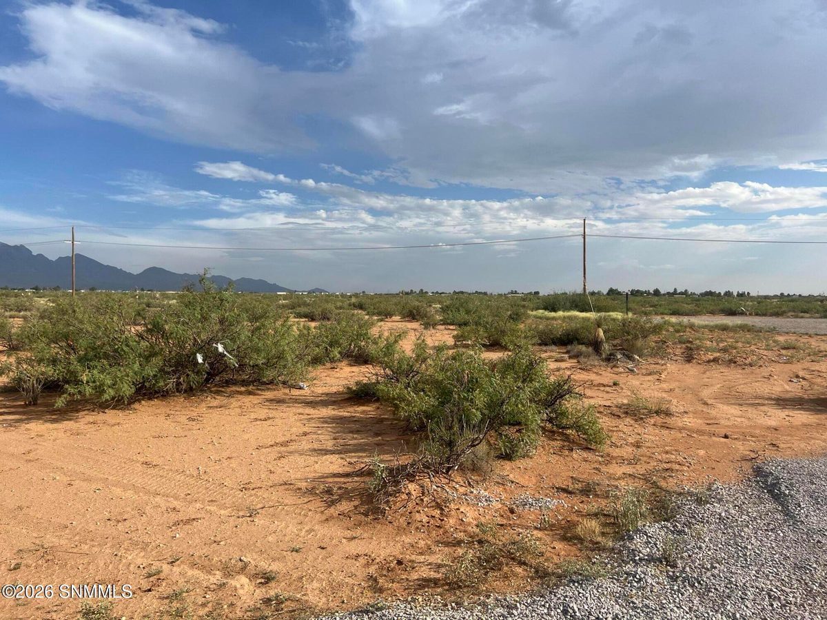 8038 Inca Dove Avenue, Las Cruces, NM 88012 photo 5