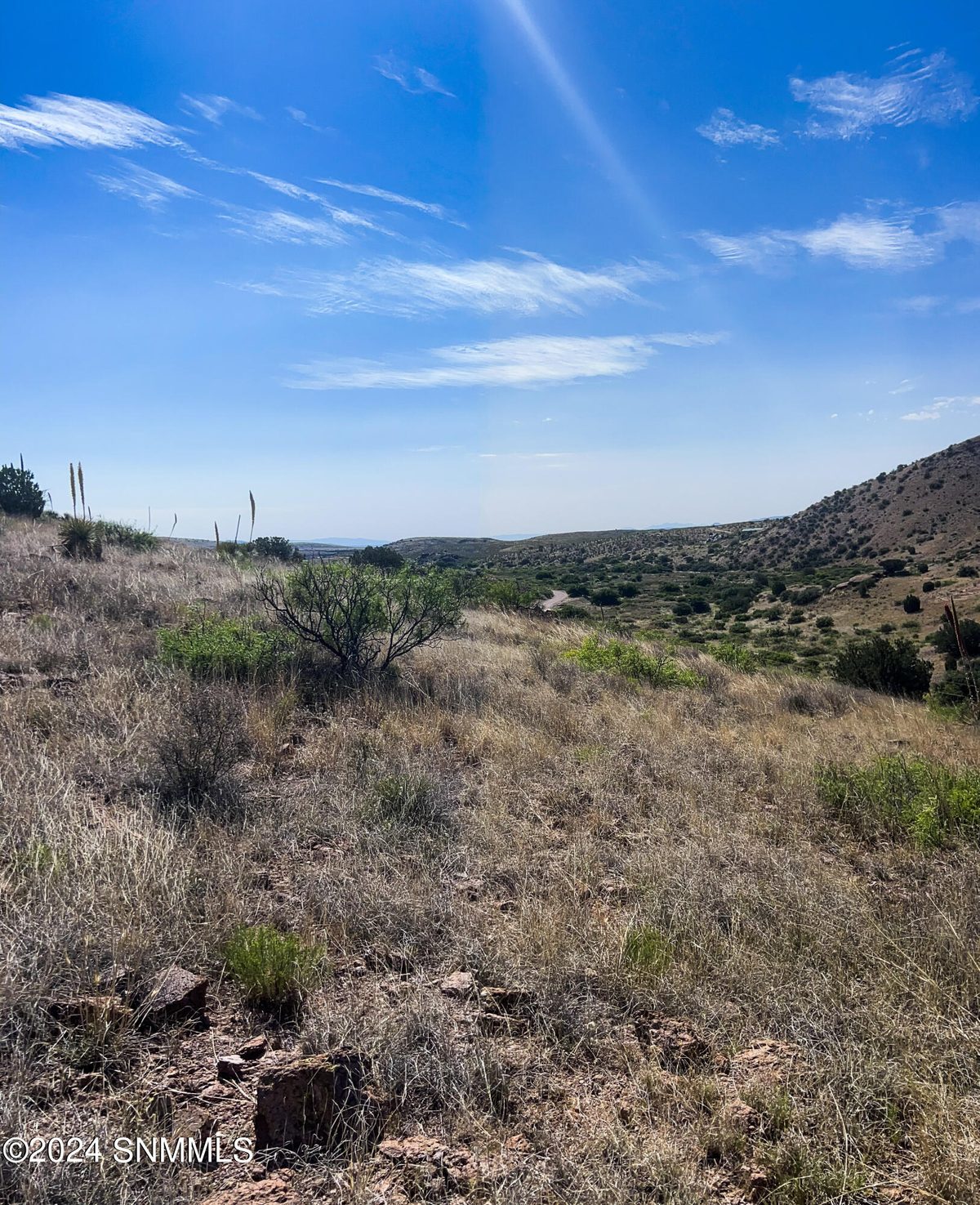 81 Berrenda Creek, Hillsboro, NM 88042, foto 11