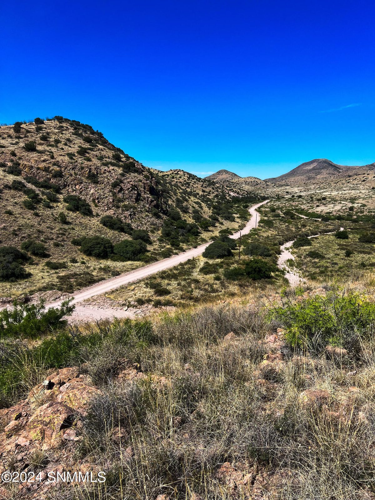 81 Berrenda Creek, Hillsboro, NM 88042, foto 15