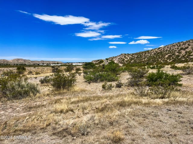 81 Berrenda Creek, Hillsboro, NM 88042, foto 3
