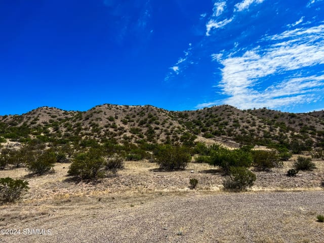 81 Berrenda Creek, Hillsboro, NM 88042, foto 4