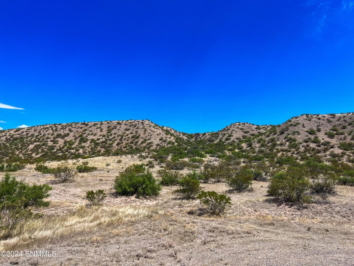 81 Berrenda Creek, Hillsboro, NM 88042, foto 5