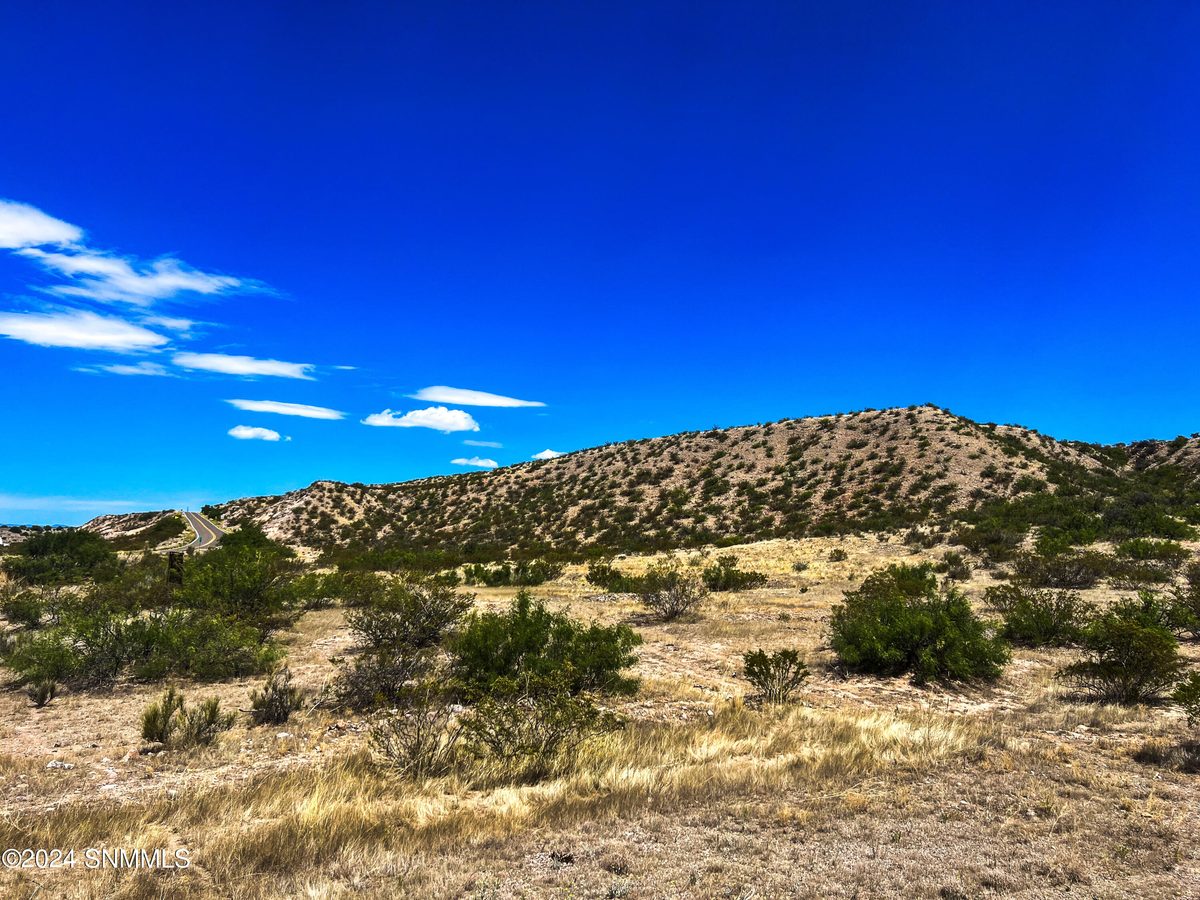 81 Berrenda Creek, Hillsboro, NM 88042, foto 6