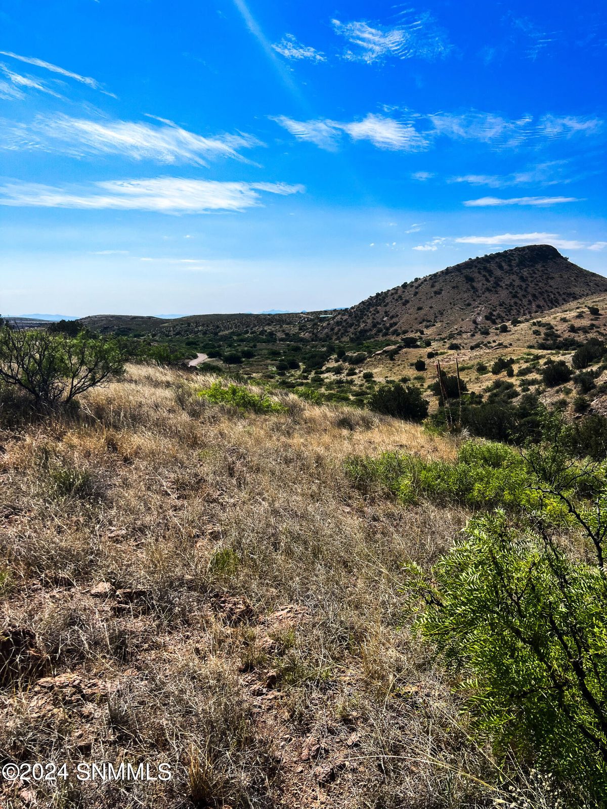 81 Berrenda Creek, Hillsboro, NM 88042, foto 7