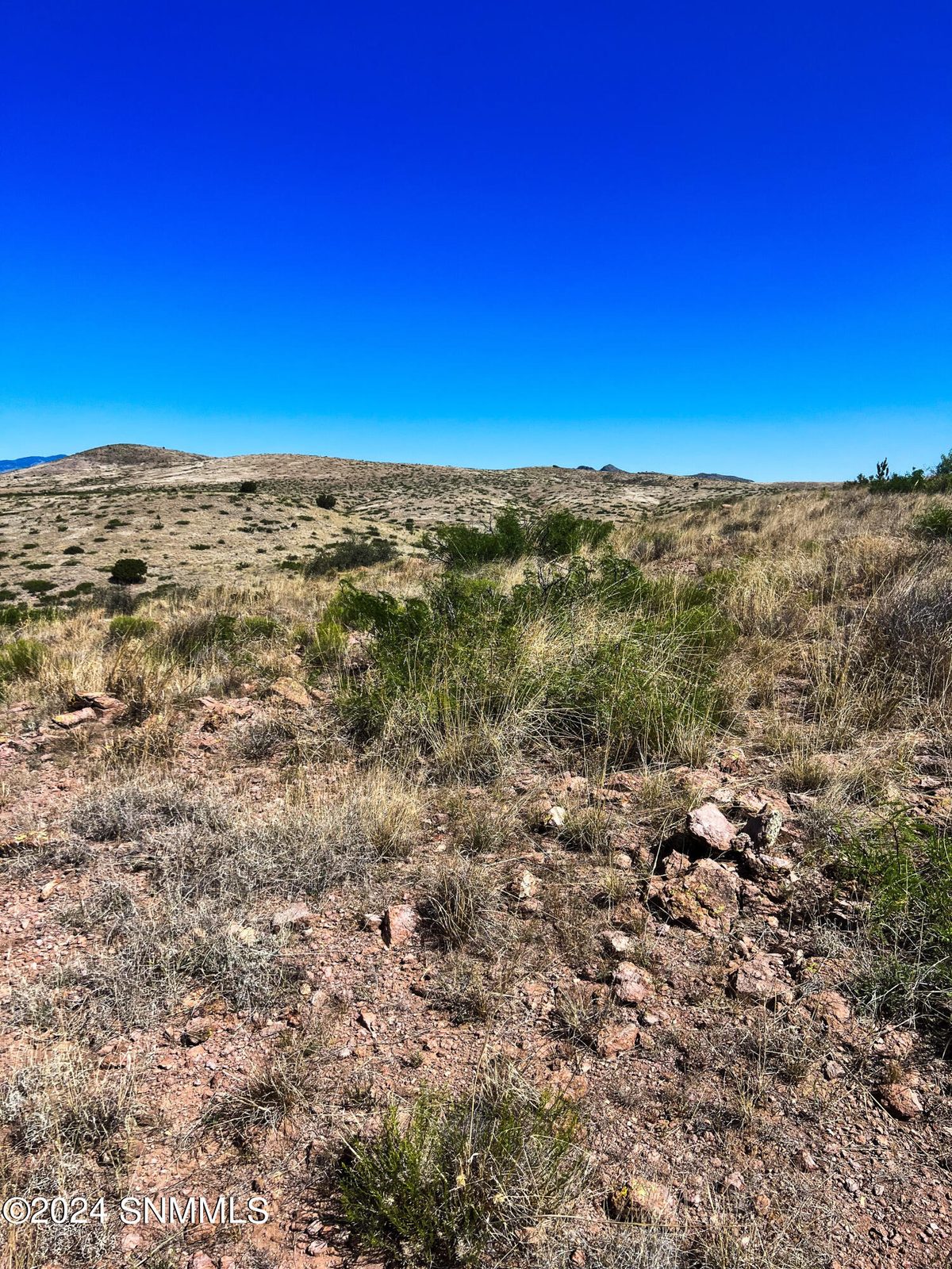 81 Berrenda Creek, Hillsboro, NM 88042, foto 10