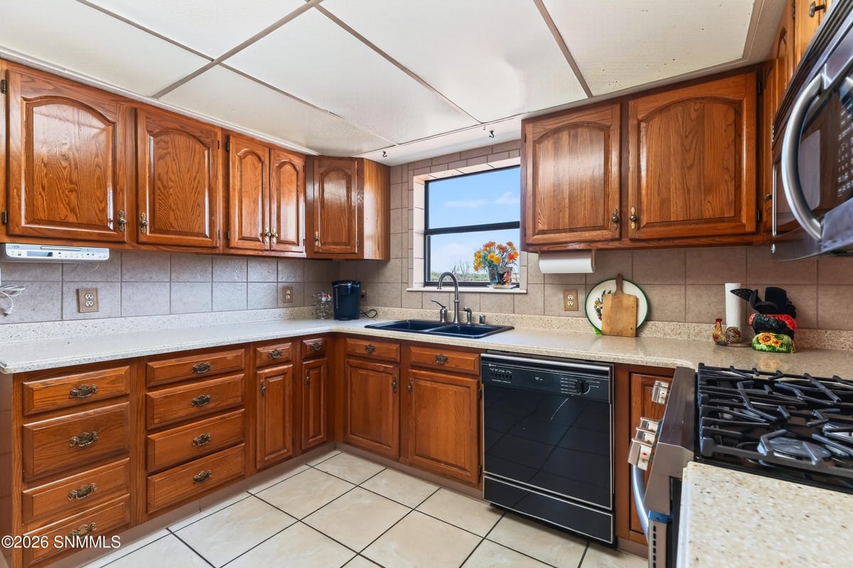 1124 Green Meadows Road, Anthony, NM 88021 photo 10