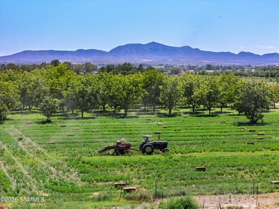 2875 Burkett Place, Anthony, NM 88021 photo 2