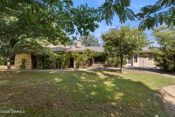 3193 Avenida De Mesilla, Mesilla, NM 88046 photo 3