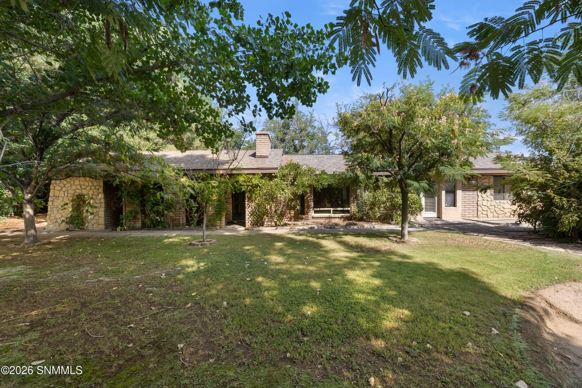 3193 Avenida De Mesilla, Mesilla, NM 88046 photo 3