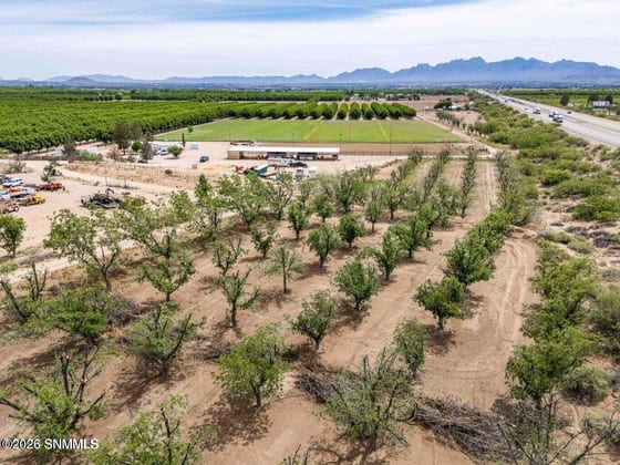 201 Squirrel Road, Las Cruces, NM 88007 photo 4