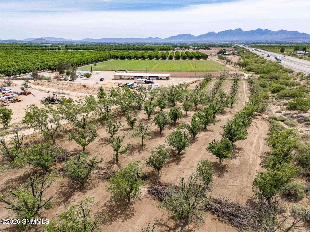 201 Squirrel Road, Las Cruces, NM 88007 photo 4