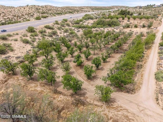 201 Squirrel Road, Las Cruces, NM 88007 photo 5