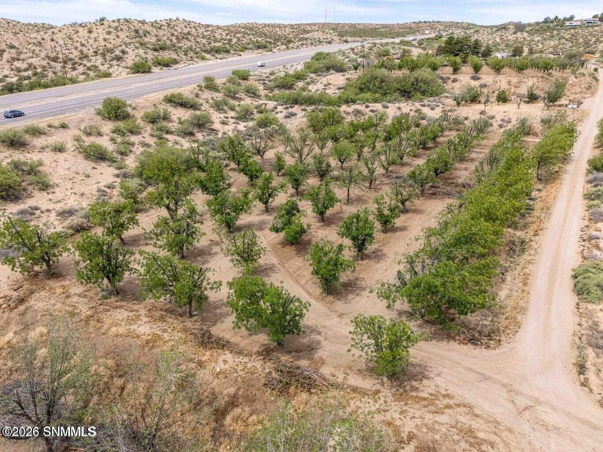 201 Squirrel Road, Las Cruces, NM 88007 photo 5