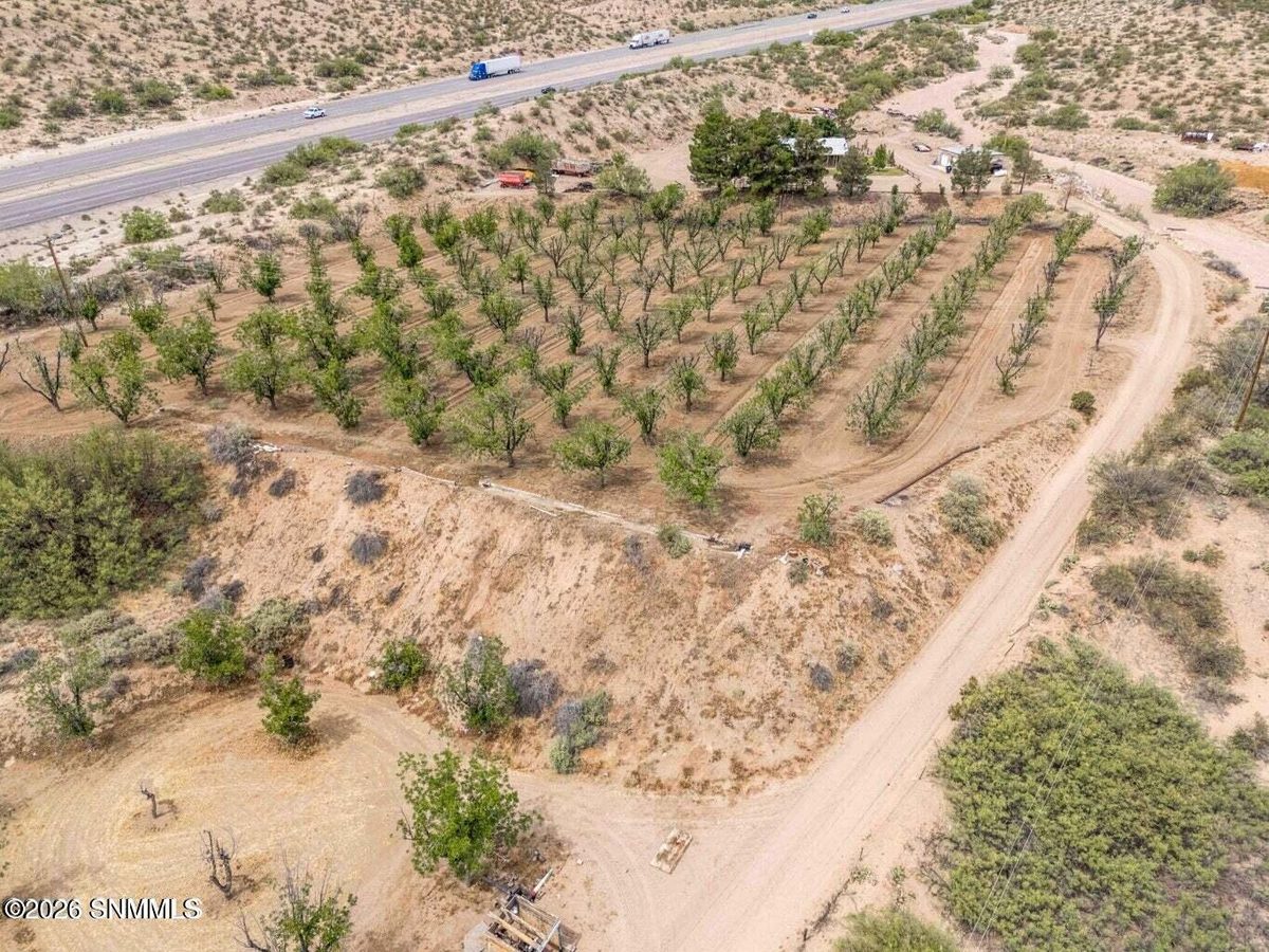201 Squirrel Road, Las Cruces, NM 88007 photo 9