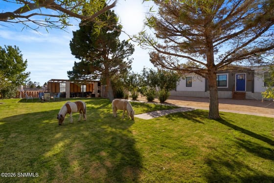 140 Argelia Drive, Chaparral, NM 88081 photo 2