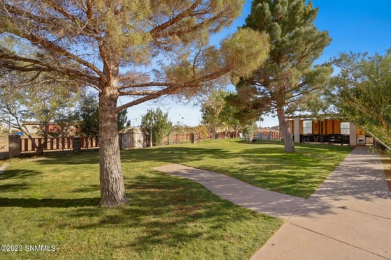 140 Argelia Drive, Chaparral, NM 88081 photo 5