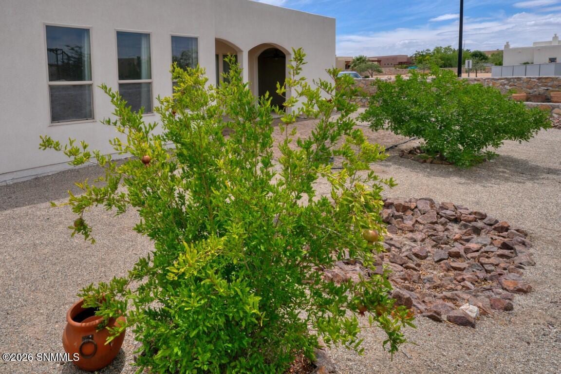 4309 Calle Sonesta Arc, Las Cruces, NM 88011 photo 8