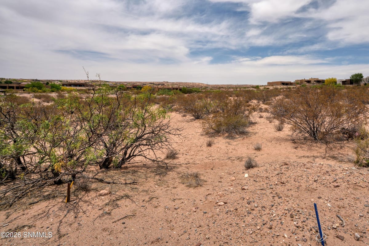 7017 Calle Estancias, Las Cruces, NM 88007 photo 18