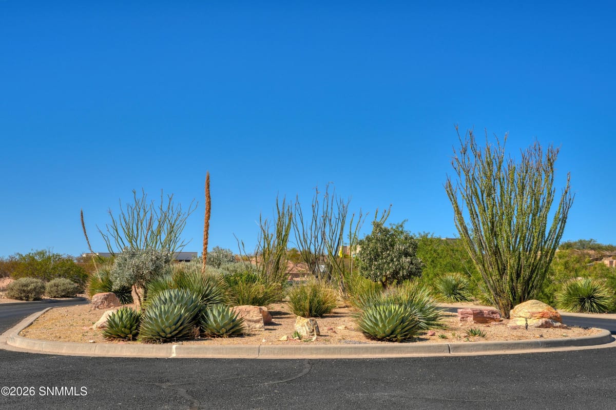 7017 Calle Estancias, Las Cruces, NM 88007 photo 3