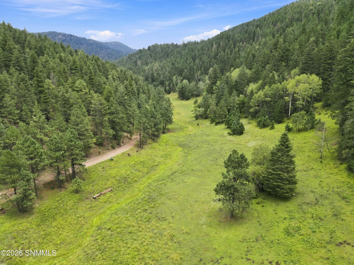 TBD Wills Canyon Road, Cloudcroft, NM 88317 photo 1