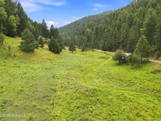 TBD Wills Canyon Road, Cloudcroft, NM 88317 photo 2