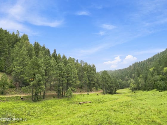 TBD Wills Canyon Road, Cloudcroft, NM 88317 photo 3