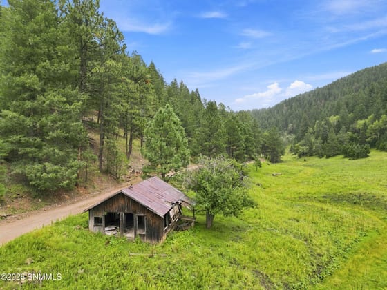 TBD Wills Canyon Road, Cloudcroft, NM 88317 photo 4