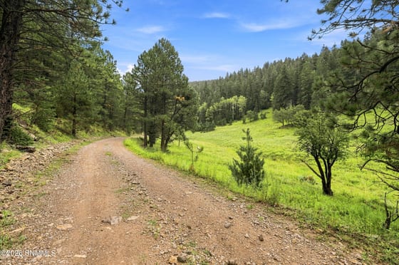 TBD Wills Canyon Road, Cloudcroft, NM 88317 photo 5