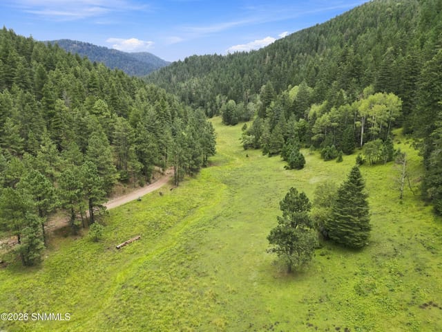 TBD Wills Canyon Road, Cloudcroft, NM acreage/undeveloped for sale at $325,000