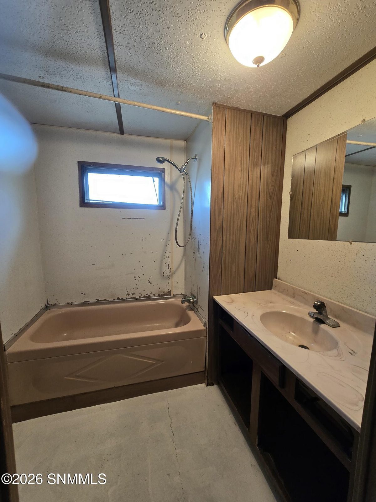 15785 Padre La Rue Street, Organ, NM 88052 photo 14