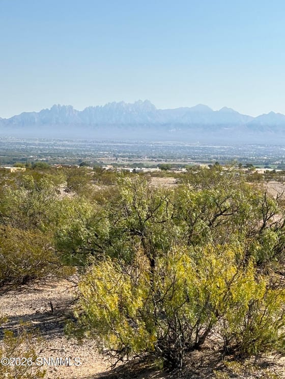 1373 Arco De Goya, Las Cruces, NM 88007 photo 3