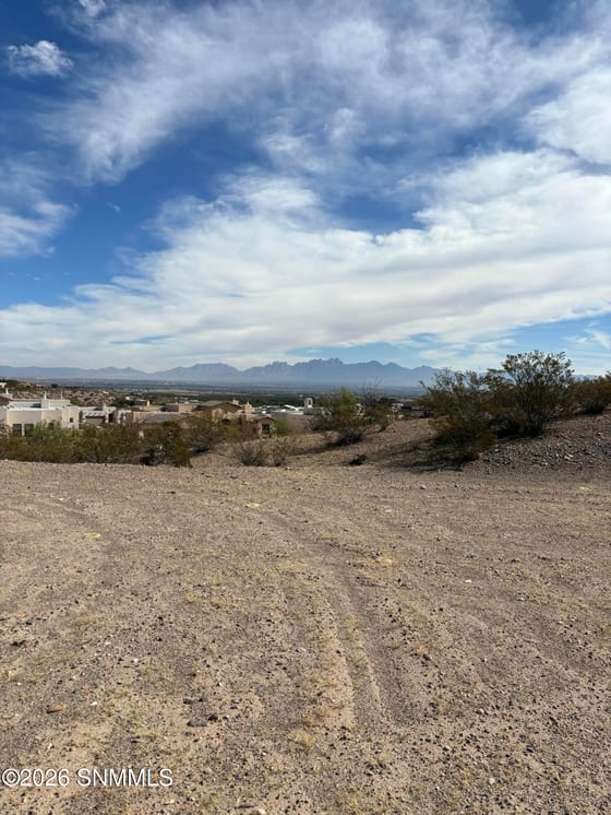 6835 Frans Hals Road, Las Cruces, NM 88007 photo 3