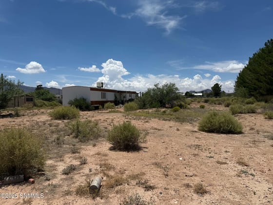 591 Quiet Pine Drive, Chaparral, NM 88081 photo 4